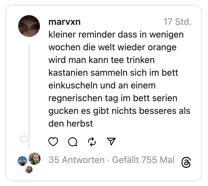 kleiner reminder dass in wenigen wochen die welt wieder orange wird man kann tee trinken kastanien sammeln sich im bett einkuscheln und an einem regnerischen tag im bett serien gucken es gibt nichts besseres als den herbst
