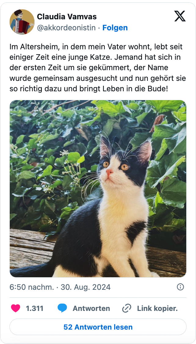 Im Altersheim, in dem mein Vater wohnt, lebt seit einiger Zeit eine junge Katze. Jemand hat sich in der ersten Zeit um sie gekümmert, der Name wurde gemeinsam ausgesucht und nun gehört sie so richtig dazu und bringt Leben in die Bude!