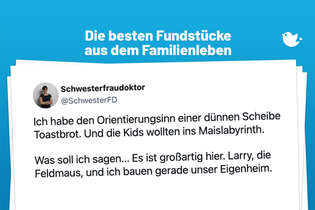 Die besten Fundstücke aus dem Familienleben: Ich habe den Orientierungsinn einer dünnen Scheibe Toastbrot. Und die Kids wollten ins Maislabyrinth. Was soll ich sagen... Es ist großartig hier. Larry, die Feldmaus, und ich bauen gerade unser Eigenheim.