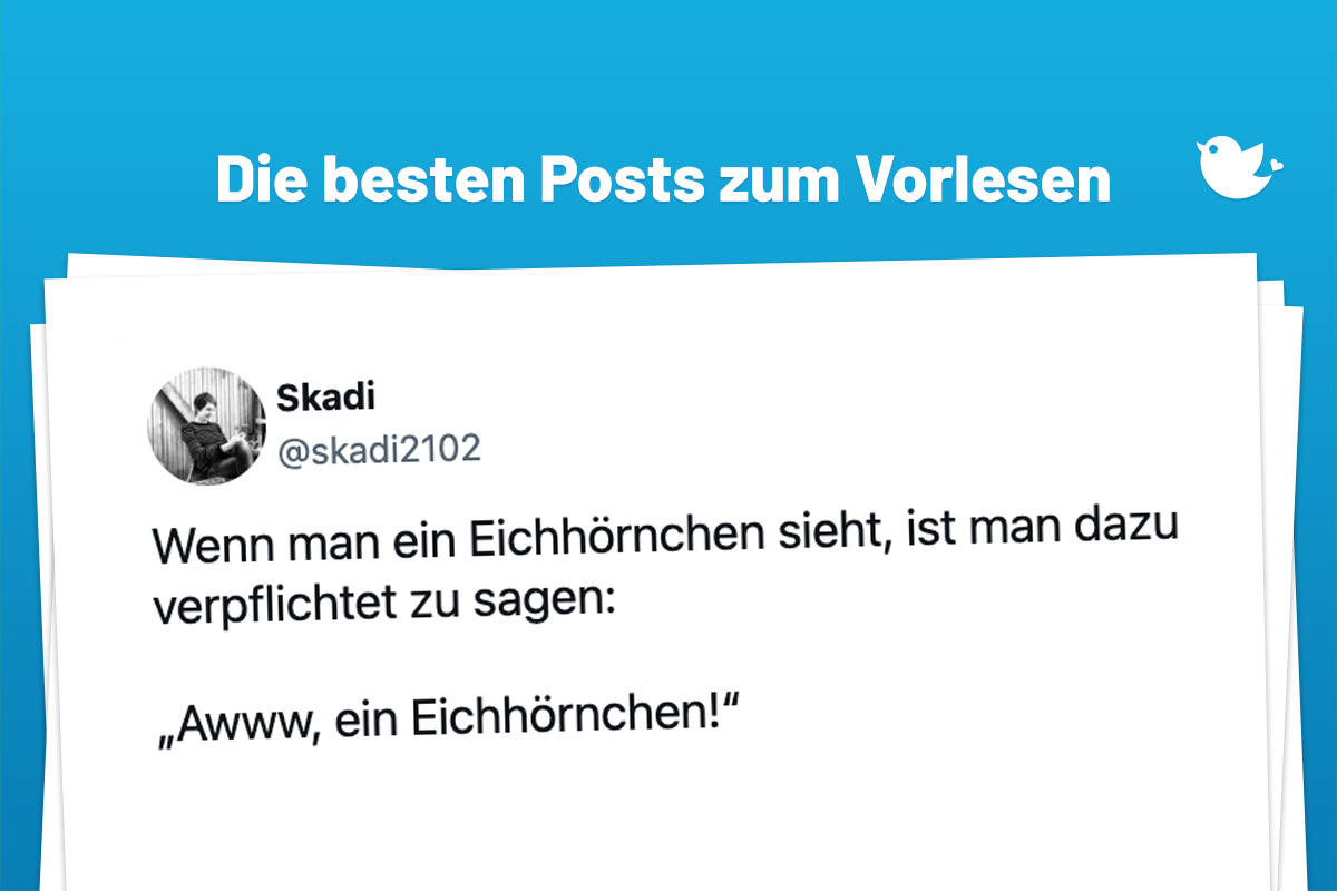 Die besten Posts zum Vorlesen: Wenn man ein Eichhörnchen sieht, ist man dazu verpflichtet zu sagen: „Awww, ein Eichhörnchen!“
