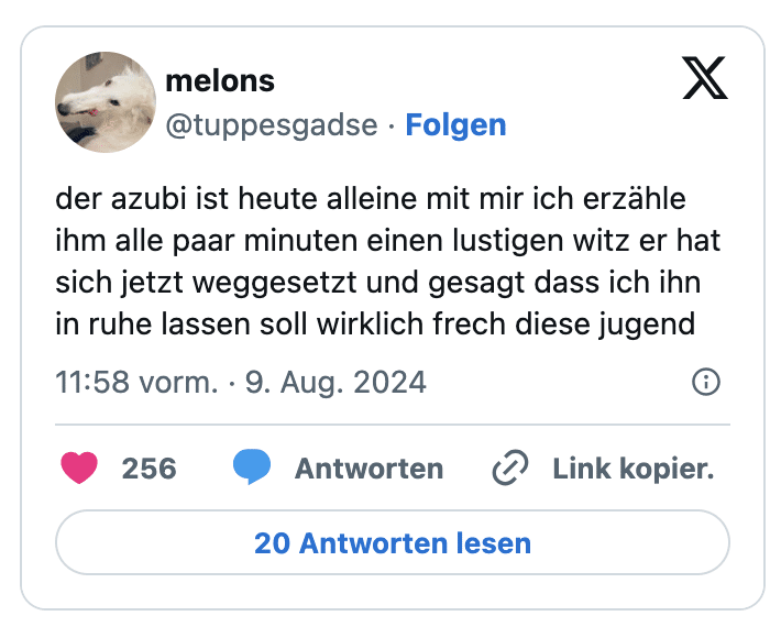der azubi ist heute alleine mit mir ich erzähle ihm alle paar minuten einen lustigen witz er hat sich jetzt weggesetzt und gesagt dass ich ihn in ruhe lassen soll wirklich frech diese jugend
