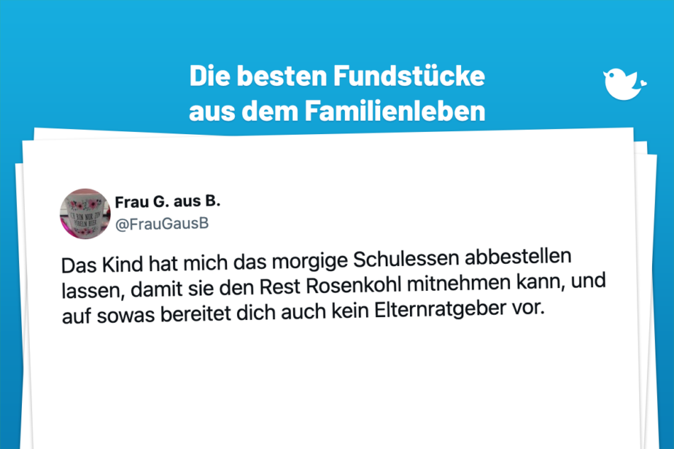 Unterhaltsames aus dem Familienleben: Die besten Anekdoten über Eltern und ihre Kinder (112): Das Kind hat mich das morgige Schulessen abbestellen lassen, damit sie den Rest Rosenkohl mitnehmen kann, und auf sowas bereitet dich auch kein Elternratgeber vor.