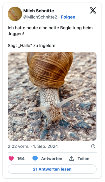 Ich hatte heute eine nette Begleitung beim Joggen!

Sagt „Hallo“ zu Ingelore