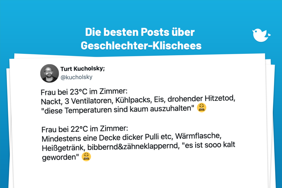 Frau bei 23°C im Zimmer: Nackt, 3 Ventilatoren, Kühlpacks, Eis, drohender Hitzetod, "diese Temperaturen sind kaum auszuhalten" 😩 Frau bei 22°C im Zimmer: Mindestens eine Decke dicker Pulli etc, Wärmflasche, Heißgetränk, bibbernd&zähneklappernd, "es ist sooo kalt geworden" 😩