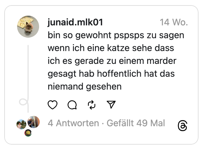 bin so gewohnt pspsps zu sagen wenn ich eine katze sehe dass ich es gerade zu einem marder gesagt hab hoffentlich hat das niemand gesehen
