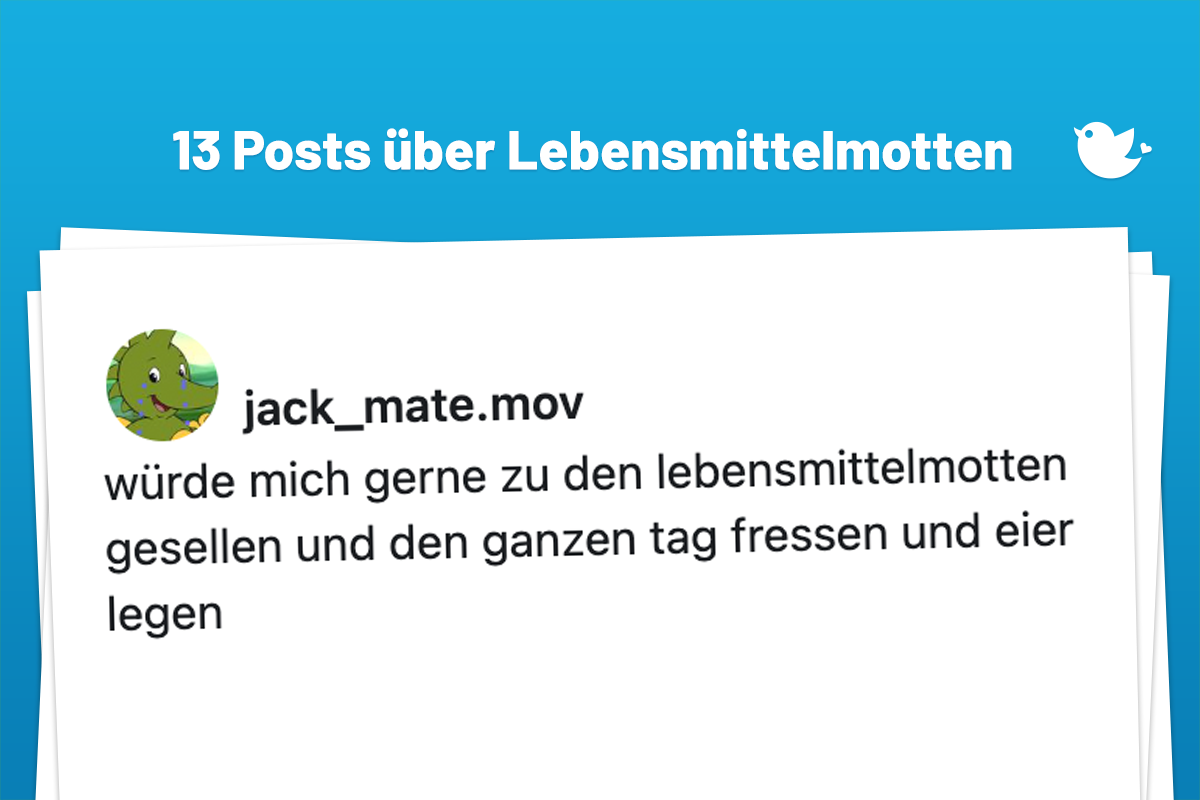 würde mich gerne zu den lebensmittelmotten gesellen und den ganzen tag fressen und eier legen