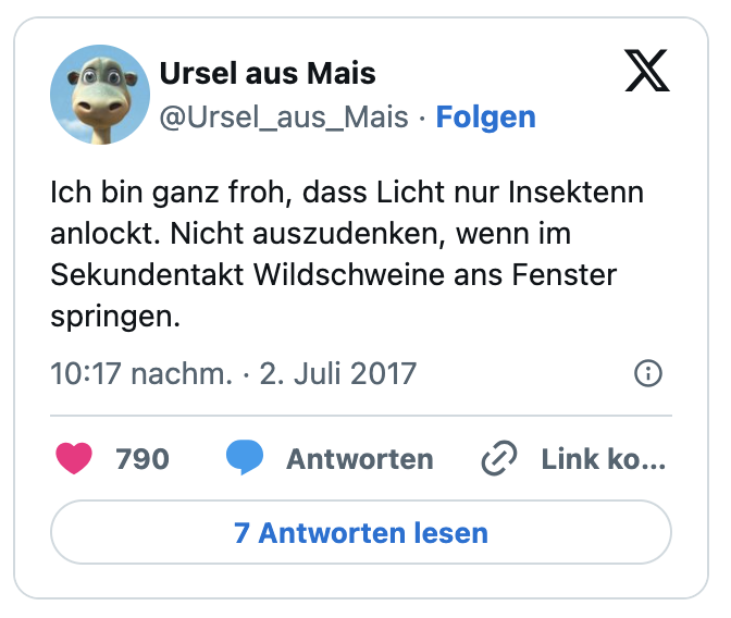 Ich bin ganz froh, dass Licht nur Insektenn anlockt. Nicht auszudenken, wenn im Sekundentakt Wildschweine ans Fenster springen.
