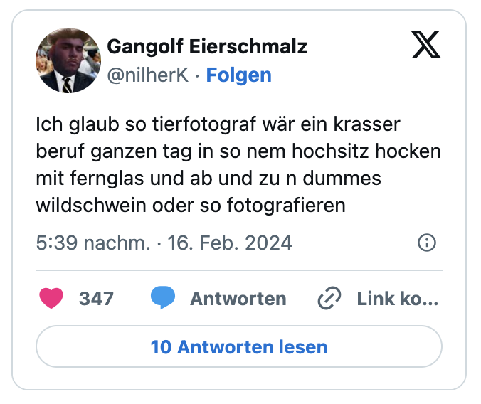 Ich glaub so tierfotograf wär ein krasser beruf ganzen tag in so nem hochsitz hocken mit fernglas und ab und zu n dummes wildschwein oder so fotografieren
