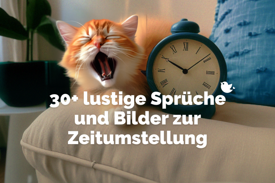 Zeitumstellung: 30+ lustige Bilder und Sprüche