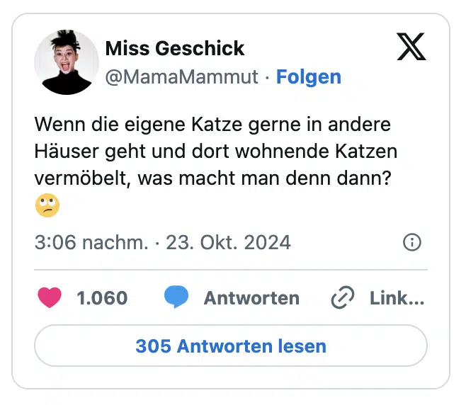 Wenn die eigene Katze gerne in andere Häuser geht und dort wohnende Katzen vermöbelt, was macht man denn dann?
