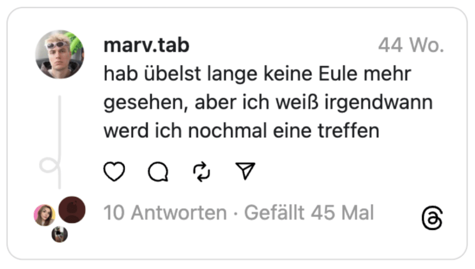 hab übelst lange keine Eule mehr gesehen, aber ich weiß irgendwann werd ich nochmal eine treffen
