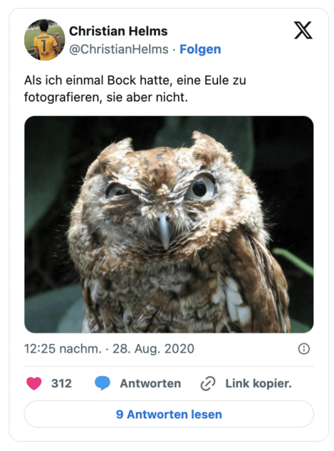 Als ich einmal Bock hatte, eine Eule zu fotografieren, sie aber nicht.
