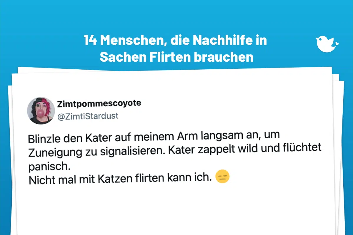 Blinzle den Kater auf meinem Arm langsam an, um Zuneigung zu signalisieren. Kater zappelt wild und flüchtet panisch. Nicht mal mit Katzen flirten kann ich. 😑