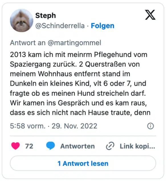 2013 kam ich mit meinrm Pflegehund vom Spaziergang zurück. 2 Querstraßen von meinem Wohnhaus entfernt stand im Dunkeln ein kleines Kind, vlt 6 oder 7, und fragte ob es meinen Hund streicheln darf. Wir kamen ins Gespräch und es kam raus, dass es sich nicht nach Hause traute, denn