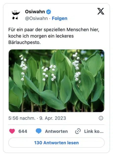 Für ein paar der speziellen Menschen hier, koche ich morgen ein leckeres Bärlauchpesto.
