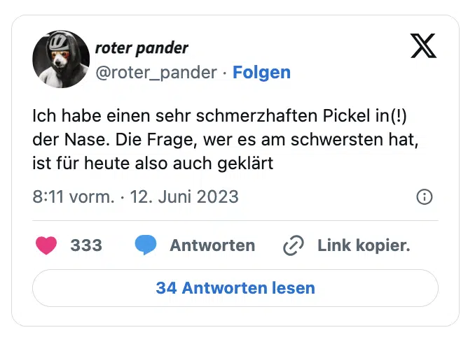 Ich habe einen sehr schmerzhaften Pickel in(!) der Nase. Die Frage, wer es am schwersten hat, ist für heute also auch geklärt
