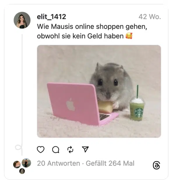 Wie Mausis online shoppen gehen, obwohl sie kein Geld haben 🥰
