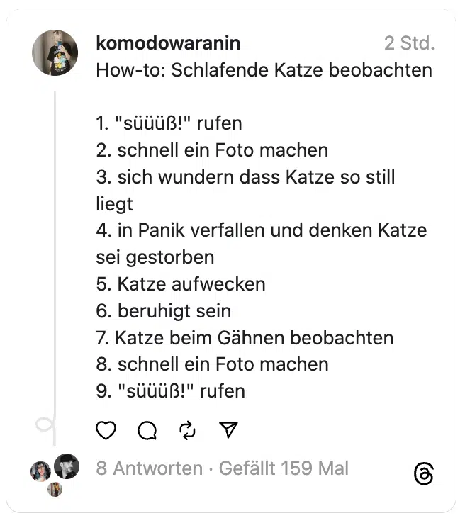 How-to: Schlafende Katze beobachten
1. "süüüß!" rufen
2. schnell ein Foto machen
3. sich wundern dass Katze so still liegt
4. in Panik verfallen und denken Katze sei gestorben
5. Katze aufwecken
6. beruhigt sein
7. Katze beim Gähnen beobachten
8. schnell ein Foto machen
9. "süüüß!" rufen