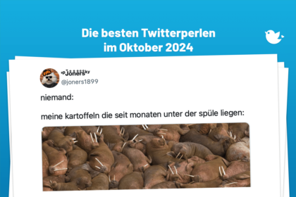 niemand: meine kartoffeln die seit monaten unter der spüle liegen: pic.twitter.com/g4V4PskSWR — ˢᵖJͦoͦnͦeͦrͦsͦᵏʸ (@joners1899)