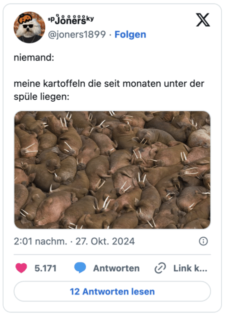 niemand:

meine kartoffeln die seit monaten unter der spüle liegen: