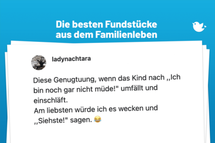 Die besten Fundstücke aus dem Familienleben: Diese Genugtuung, wenn das Kind nach ,,Ich bin noch gar nicht müde!" umfällt und einschläft. Am liebsten würde ich es wecken und ,,Siehste!" sagen. 😂
