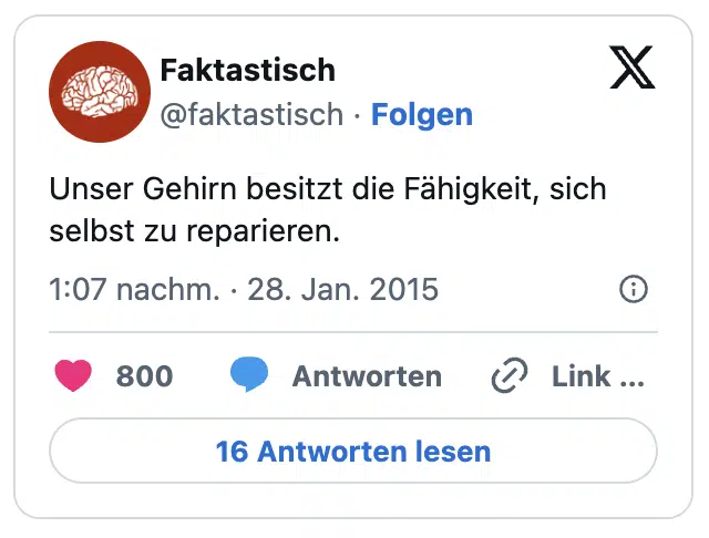 Unser Gehirn besitzt die Fähigkeit, sich selbst zu reparieren.