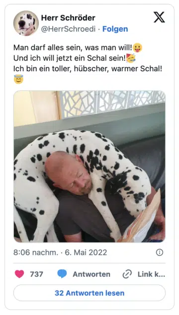 Man darf alles sein, was man will!:herausgestreckte_zunge: Und ich will jetzt ein Schal sein!:partygesicht: Ich bin ein toller, hübscher, warmer Schal!:unschuldig: