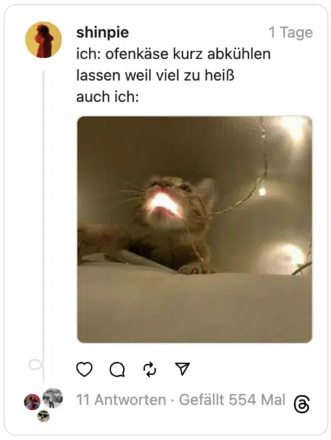 ich: ofenkäse kurz abkühlen lassen weil viel zu heiß
auch ich: