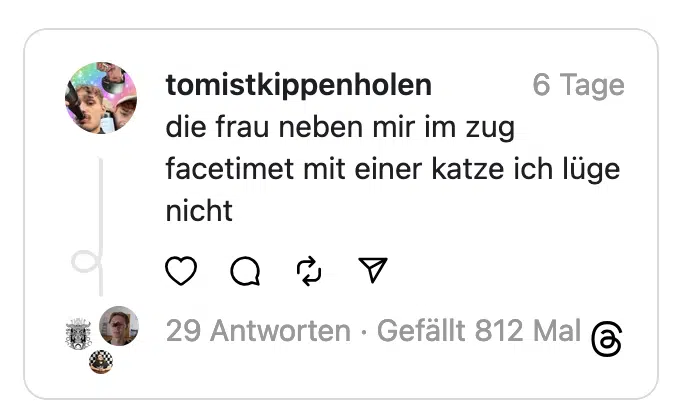 tomistkippenholen die frau neben mir im zug facetimet mit einer katze ich lüge nicht