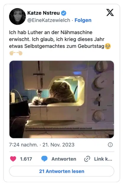 Ich hab Luther an der Nähmaschine erwischt. Ich glaub, ich krieg dieses Jahr etwas Selbstgemachtes zum Geburtstag🥹👉🏼👈🏼
