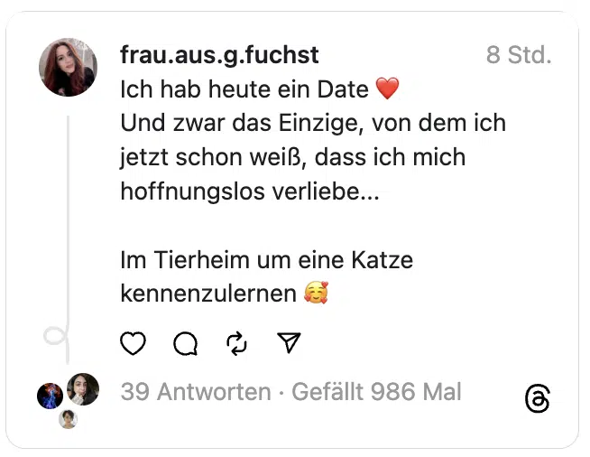 Ich hab heute ein Date ❤️
Und zwar das Einzige, von dem ich jetzt schon weiß, dass ich mich hoffnungslos verliebe...
Im Tierheim um eine Katze kennenzulernen 🥰
