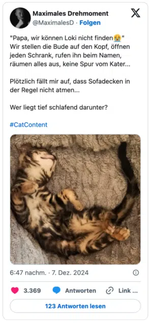 "Papa, wir können Loki nicht finden😭"
Wir stellen die Bude auf den Kopf, öffnen jeden Schrank, rufen ihn beim Namen, räumen alles aus, keine Spur vom Kater...

Plötzlich fällt mir auf, dass Sofadecken in der Regel nicht atmen...

Wer liegt tief schlafend darunter?

#CatContent