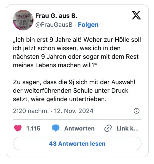 „Ich bin erst 9 Jahre alt! Woher zur Hölle soll ich jetzt schon wissen, was ich in den nächsten 9 Jahren oder sogar mit dem Rest meines Lebens machen will?“

Zu sagen, dass die 9j sich mit der Auswahl der weiterführenden Schule unter Druck setzt, wäre gelinde untertrieben.