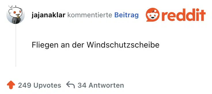 Fliegen an der Windschutzscheibe