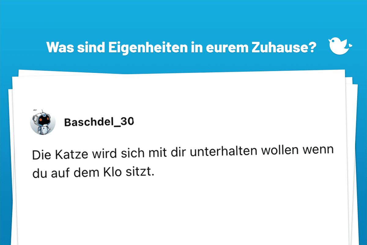 Auf welche Macke oder Eigenheit in eurem Zuhause muss man Gäste hinweisen? Die Katze wird sich mit dir unterhalten wollen wenn du auf dem Klo sitzt.
