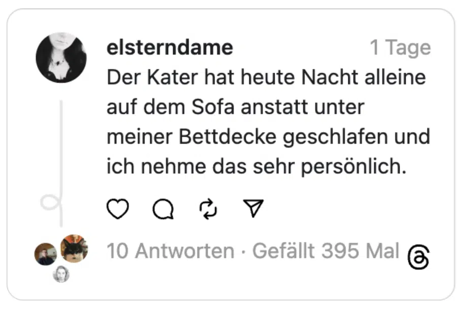 Der Kater hat heute Nacht alleine auf dem Sofa anstatt unter meiner Bettdecke geschlafen und ich nehme das sehr persönlich.