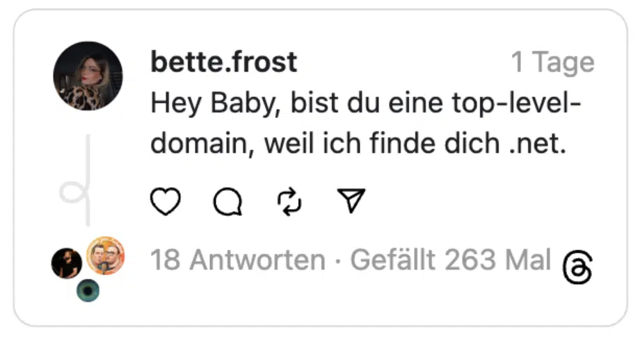 Hey Baby, bist du eine top-level-domain, weil ich finde dich .net.