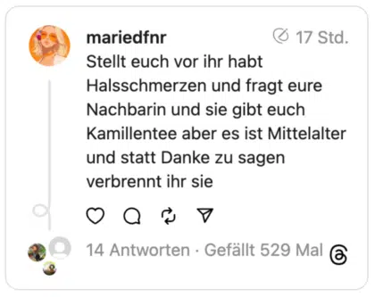 Stellt euch vor ihr habt Halsschmerzen und fragt eure Nachbarin und sie gibt euch Kamillentee aber es ist Mittelalter und statt Danke zu sagen verbrennt ihr sie