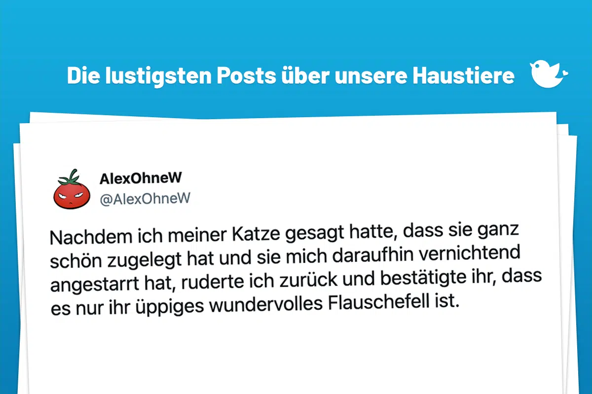 Nachdem ich meiner Katze gesagt hatte, dass sie ganz schön zugelegt hat und sie mich daraufhin vernichtend angestarrt hat, ruderte ich zurück und bestätigte ihr, dass es nur ihr üppiges wundervolles Flauschefell ist.