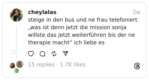 steige in den bus und ne frau telefoniert „was ist denn jetzt die mission sonja willste das jetzt weiterführen bis der ne therapie macht“ ich liebe es