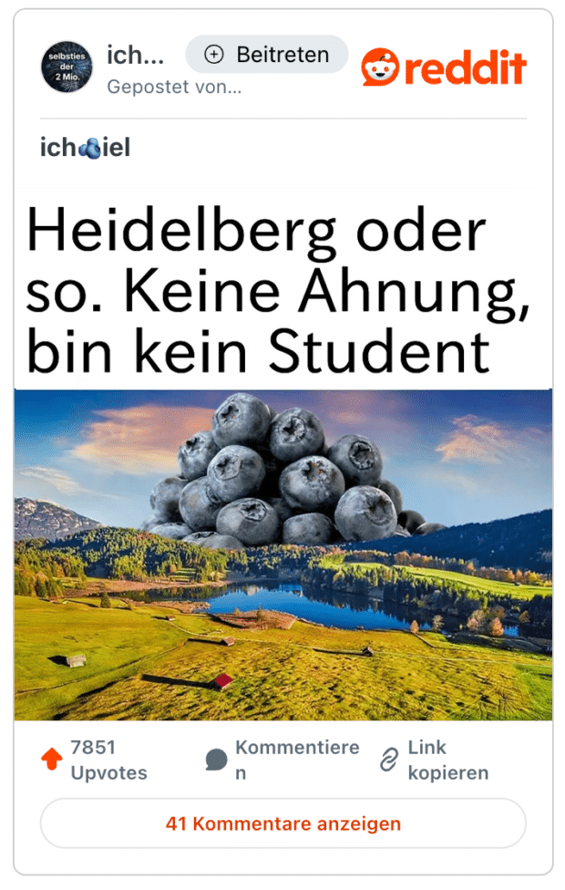 Ein Reddit-Post mit einem Meme. Der Titel des Posts lautet: „Heidelberg oder so. Keine Ahnung, bin kein Student.“ Darunter ist eine bearbeitete Landschaftsaufnahme mit grünen Wiesen, einem See und Bergen im Hintergrund zu sehen. In die Landschaft wurde eine große Menge Heidelbeeren hineineditiert, die im Vordergrund platziert sind. Der Name des Reddit-Nutzers enthält ebenfalls ein Wortspiel mit Heidelbeeren.