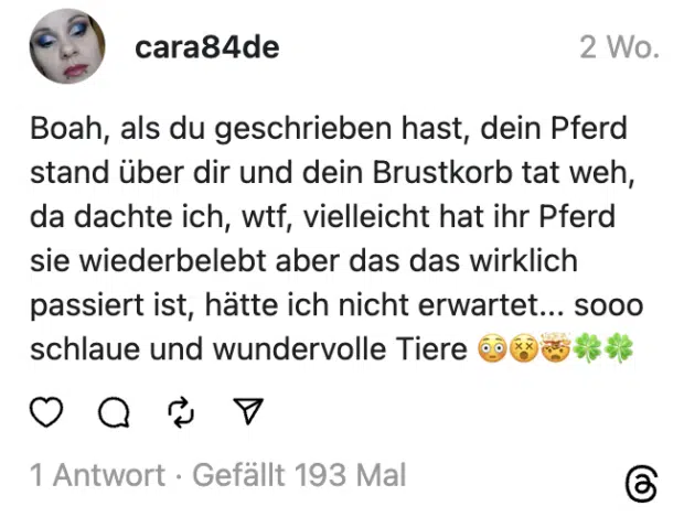 Boah, als du geschrieben hast, dein Pferd stand über dir und dein Brustkorb tat weh, da dachte ich, wtf, vielleicht hat ihr Pferd sie wiederbelebt aber das das wirklich passiert ist, hätte ich nicht erwartet... sooo schlaue und wundervolle Tiere 😳😵🤯🍀🍀