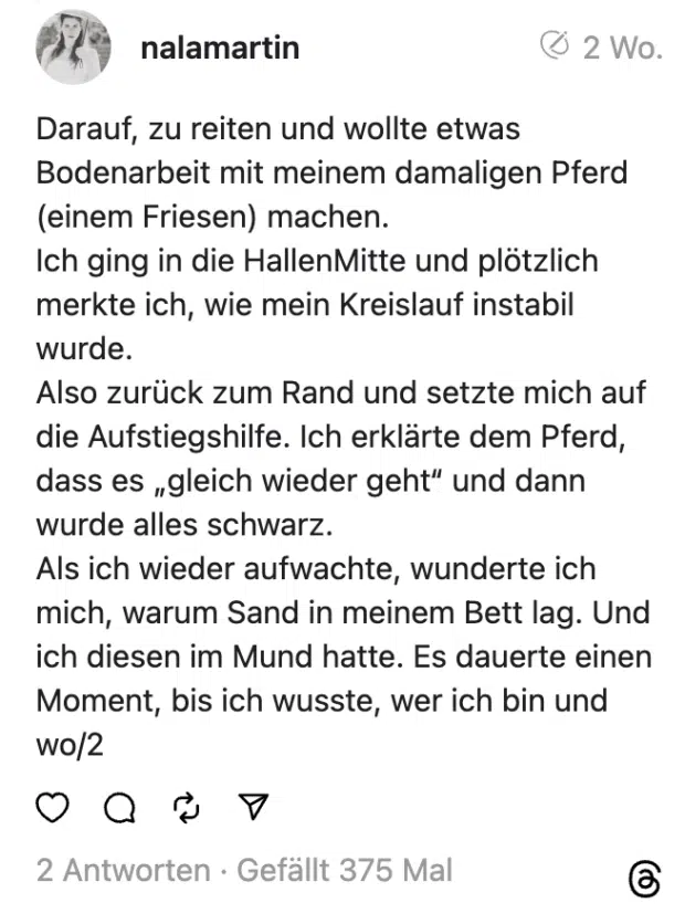 Darauf, zu reiten und wollte etwas Bodenarbeit mit meinem damaligen Pferd (einem Friesen) machen.
Ich ging in die HallenMitte und plötzlich merkte ich, wie mein Kreislauf instabil wurde.
Also zurück zum Rand und setzte mich auf die Aufstiegshilfe. Ich erklärte dem Pferd, dass es „gleich wieder geht“ und dann wurde alles schwarz.
Als ich wieder aufwachte, wunderte ich mich, warum Sand in meinem Bett lag. Und ich diesen im Mund hatte. Es dauerte einen Moment, bis ich wusste, wer ich bin und wo/2