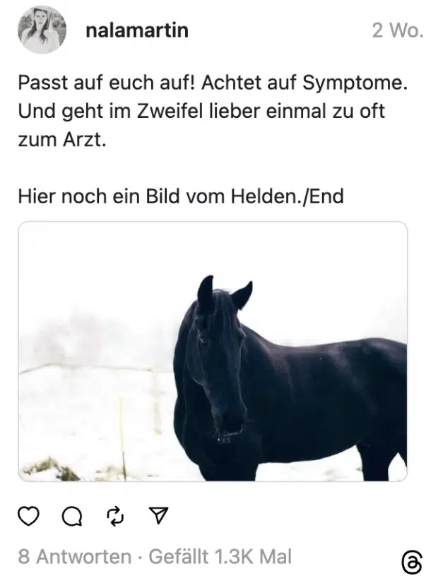 Passt auf euch auf! Achtet auf Symptome. Und geht im Zweifel lieber einmal zu oft zum Arzt.
Hier noch ein Bild vom Helden./End