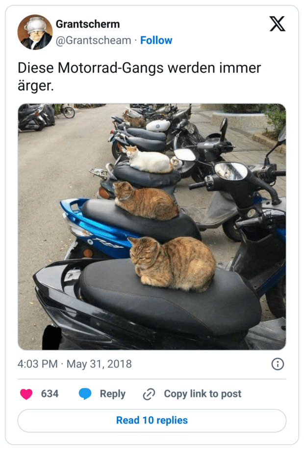 Diese Motorrad-Gangs werden immer ärger.
