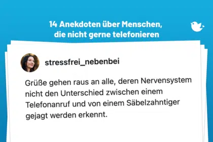 Grüße gehen raus an alle, deren Nervensystem nicht den Unterschied zwischen einem Telefonanruf und von einem Säbelzahntiger gejagt werden erkennt. nervensystemregulieren