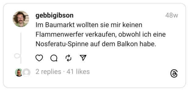 Im Baumarkt wollten sie mir keinen Flammenwerfer verkaufen, obwohl ich eine Nosferatu-Spinne auf dem Balkon habe.