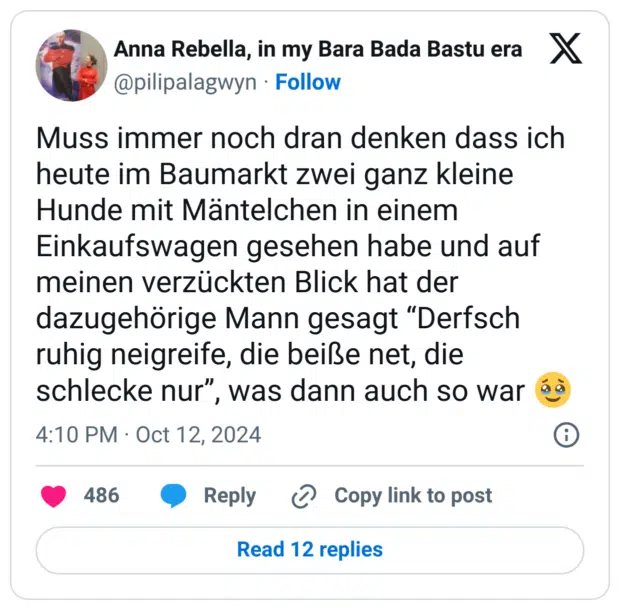 Muss immer noch dran denken dass ich heute im Baumarkt zwei ganz kleine Hunde mit Mäntelchen in einem Einkaufswagen gesehen habe und auf meinen verzückten Blick hat der dazugehörige Mann gesagt “Derfsch ruhig neigreife, die beiße net, die schlecke nur”, was dann auch so war 🥹