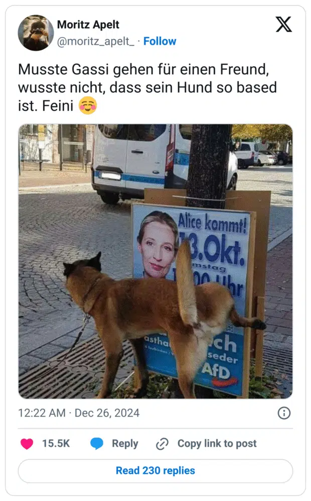 Musste Gassi gehen für einen Freund, wusste nicht, dass sein Hund so based ist. Feini :entspannt: