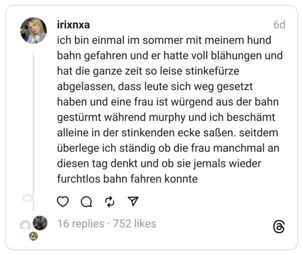 ich bin einmal im sommer mit meinem hund bahn gefahren und er hatte voll blähungen und hat die ganze zeit so leise stinkefürze abgelassen, dass leute sich weg gesetzt haben und eine frau ist würgend aus der bahn gestürmt während murphy und ich beschämt alleine in der stinkenden ecke saßen. seitdem überlege ich ständig ob die frau manchmal an diesen tag denkt und ob sie jemals wieder furchtlos bahn fahren konnte